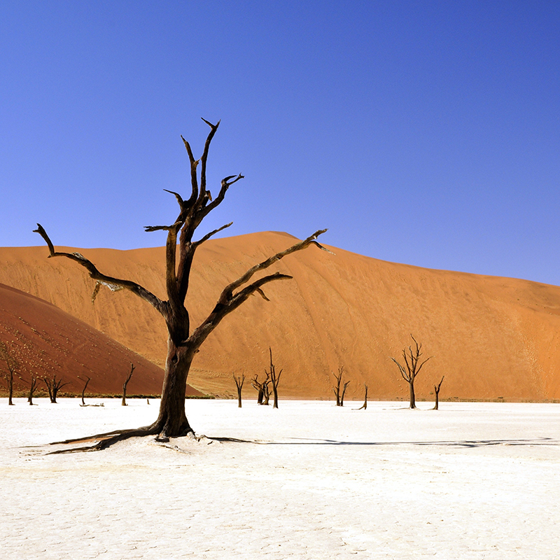 Explore Zimbabwe with National Geographic photographer/explorer Andre King